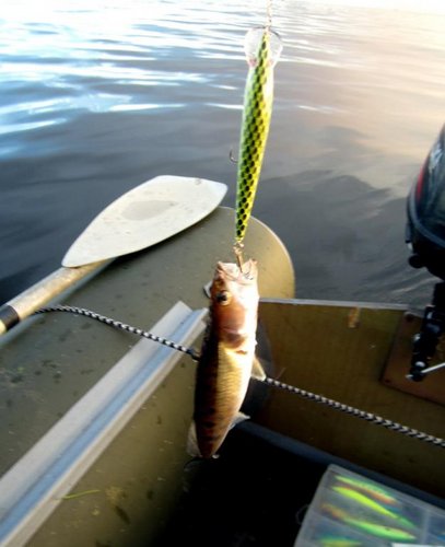 Кто длиннее!?