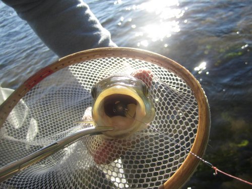 Взасос.Тонущий с активной игрой на перекате