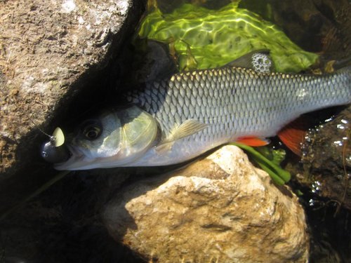 ещё один на перекате