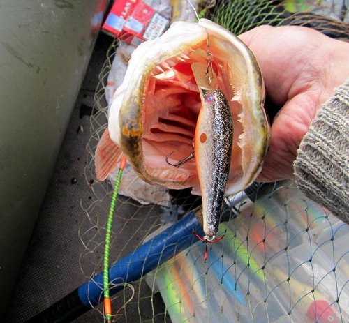 Материал - твёрдый пенопласт.