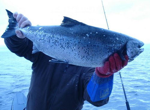 крутится вертится, но не куда не денется!!!!