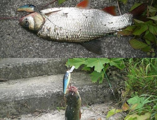 примерно 38см