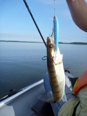 Копия P1000318.JPG