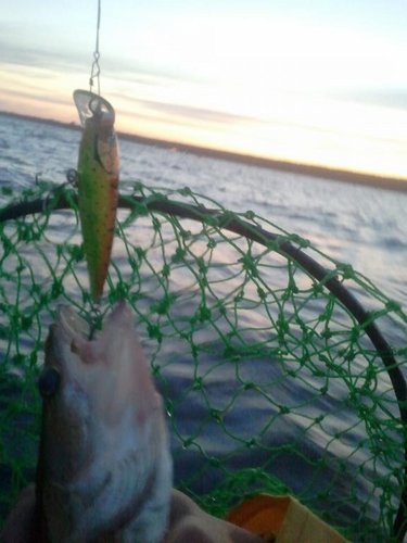 Финский Залив