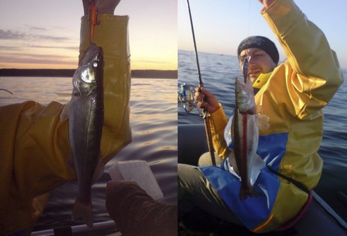 Финский Залив