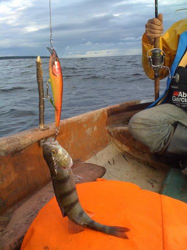 Финский Залив