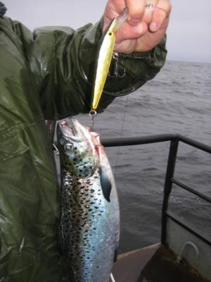 Копия IMG_0451.jpg