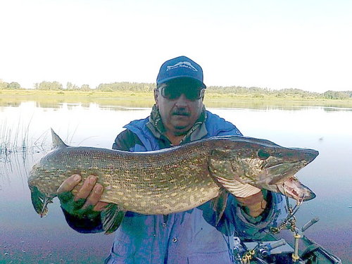 ткань 030 Correction.jpg