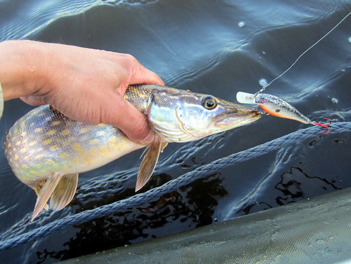 Последний кадр пенопластового ветерана...