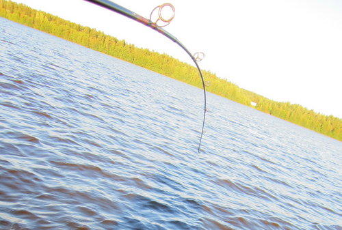 "Тянет-потянет, а вытянуть не может"