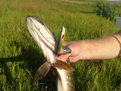 2012-08-09 18.33.50.jpg