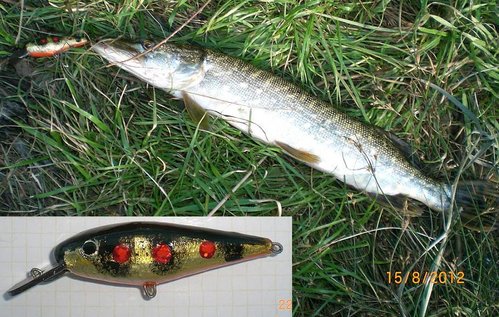 рыб отпущен