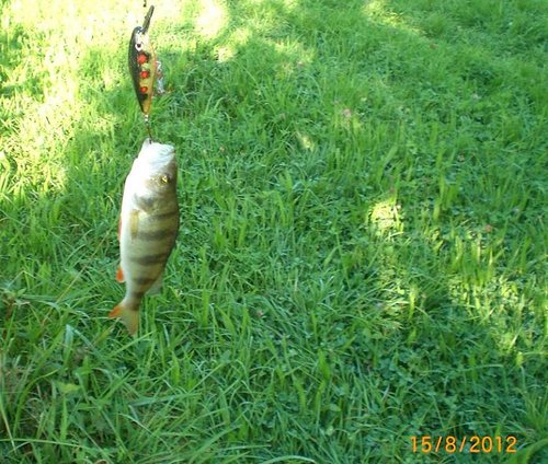 этот тоже отпущен!