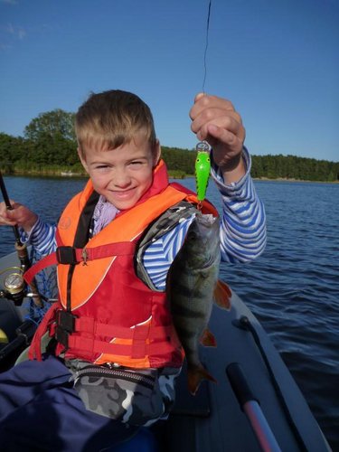 Самый крупный окунь. Сын обловил папаню!!!