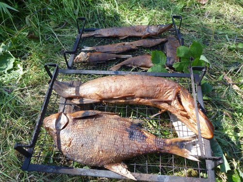 Все рыбы были съедены, даже маленькие окушки....