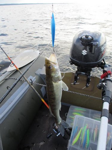 Поклёвки в основном "чуть живые"- на задний тройник, при этом присутствовало много сходов...