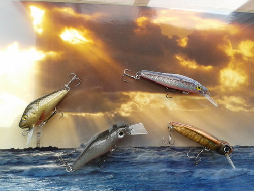 20120815111648.jpg