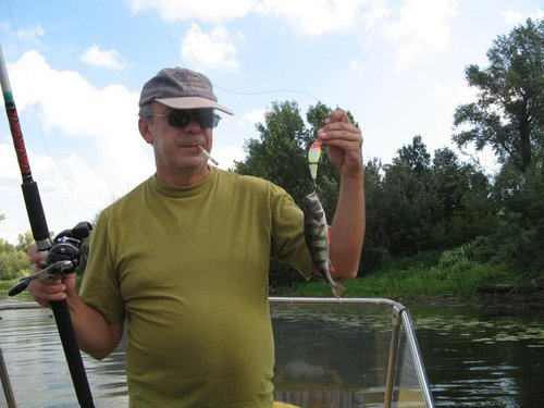 Окунек на составник IMG_9809.JPG