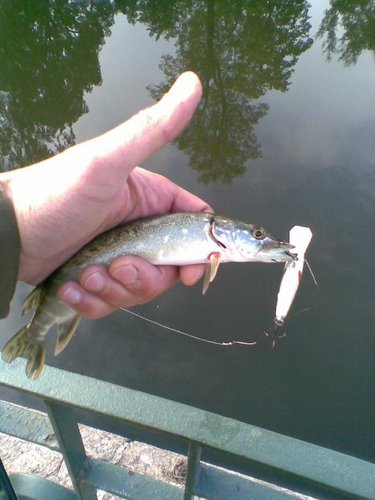 Фото026.jpg (53.13 КБ) 1837 просмотров Отрицательный результат - тоже результат. Хотя бы кто-то позарился.