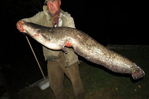 1.jpg (107.49 КБ) 3990 просмотров за этот сезон им поймано пока более двухсот сОмов..