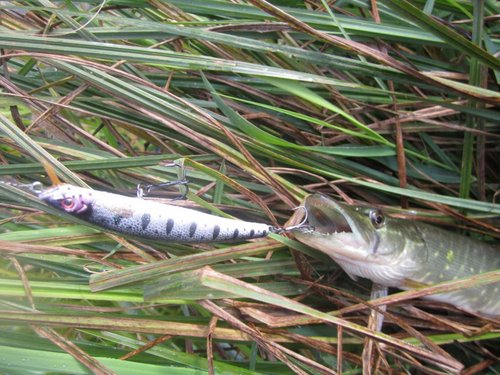 90 мм медленно тонет вес 7,9 гр.