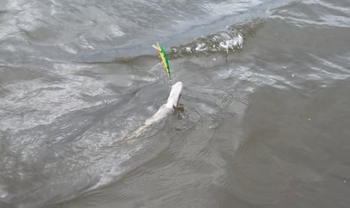 ..реплика на оригинал, только 150мм