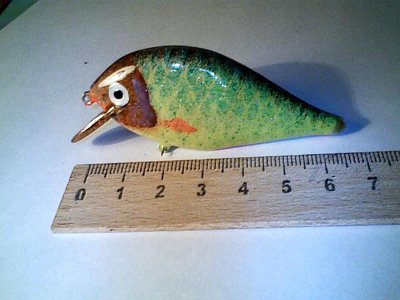 отбившийся от косяка карасик, позеленел от холода.