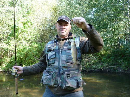 Форелиус -20 см.