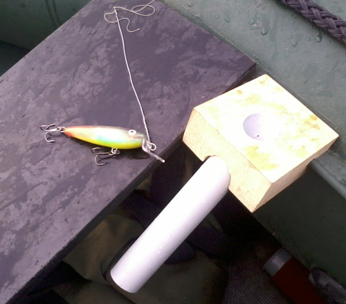 липа без огрузки.jpg