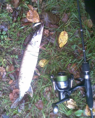 Ето один из последних воблерков