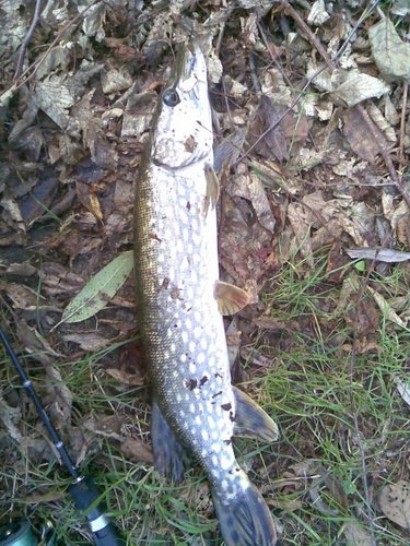 УЛ вертушку