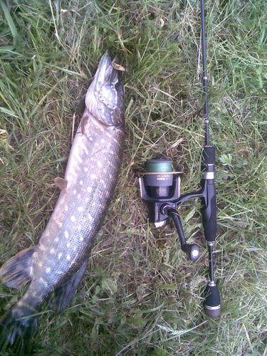 УЛ колебалка