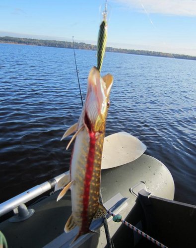 Шед-8. На глубинах тишина...