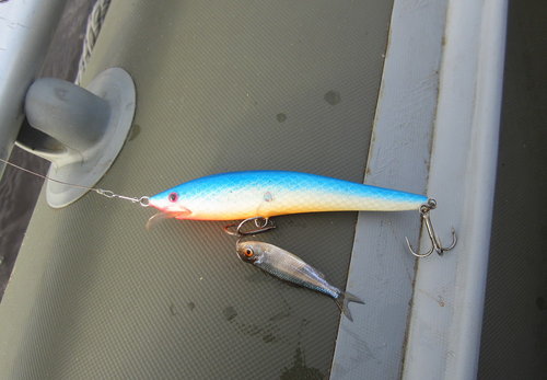 От молька вода местами просто кипит!