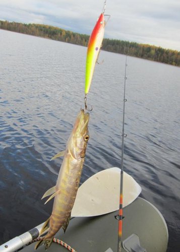 Кто длиннее!?