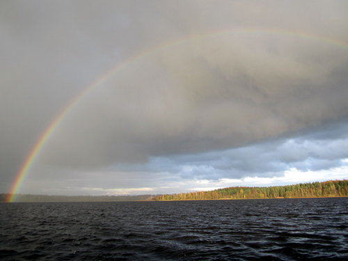 Catch the Rainbow! В память Ронни Джеймса Дио!