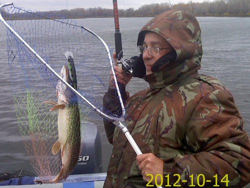 Эту не выпутывал. Товарищу тоже ловить надо... Быстренько сфоткал - и снова в бой...
