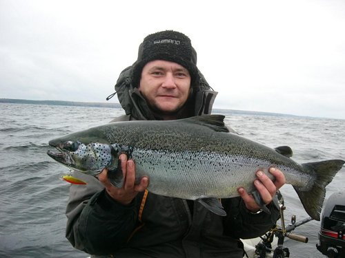 озерный лосось 6 кг