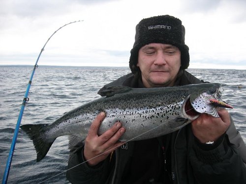 озерный лосось 3,5 кг