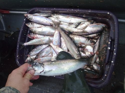 211020121559.jpg (106.31 КБ) 9424 просмотра 211020121559.jpg