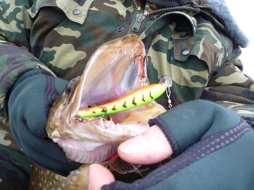 P1060688.JPG (102.41 КБ) 2273 просмотра Этот воб стабильно работает на Нарвском в-ще!