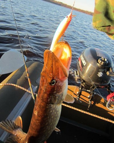 З1.jpg (73.82 КБ) 1935 просмотров На этот раз выручил синий.