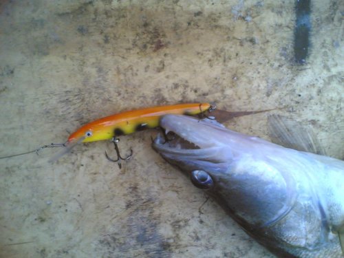 Судаки-0006.jpg (81.57 КБ) 1757 просмотров Володя, узнаешь модельку? :)