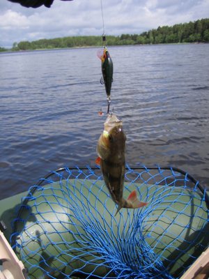 Копия IMG_9444.jpg