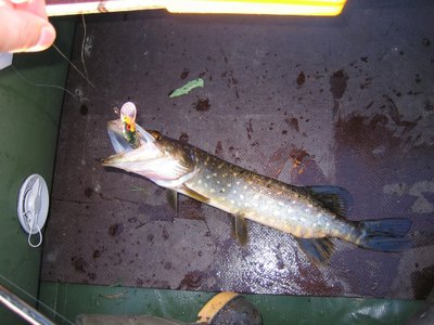 Копия IMG_9526.jpg