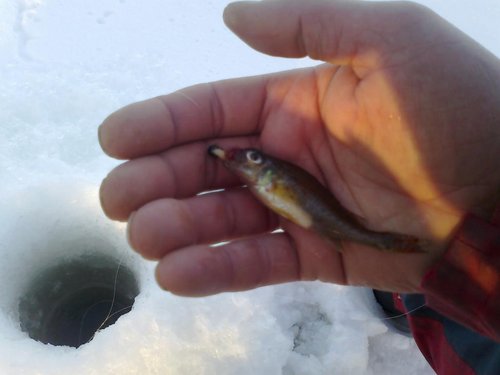 2013-01-17-018.jpg