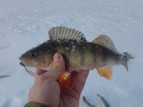 2013-02-02 12.06.17.jpg