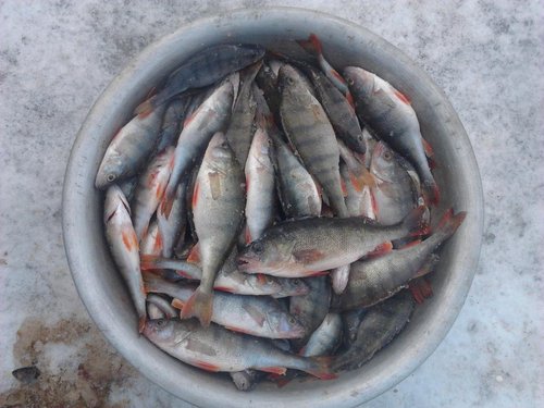 2013-02-02 14.39.14.jpg