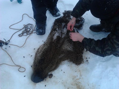 2013-02-03 08.48.41.jpg