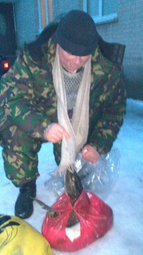 Серега ловит щуку на шарф